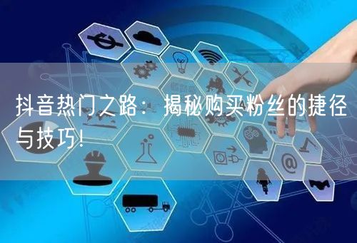 抖音热门之路：揭秘购买粉丝的捷径与技巧！