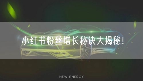 小红书粉丝增长秘诀大揭秘！