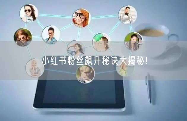 小红书粉丝飙升秘诀大揭秘！