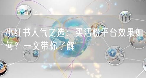 小红书人气之选：买活粉平台效果如何？一文带你了解