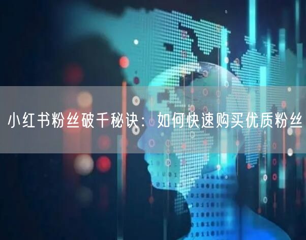 小红书粉丝破千秘诀：如何快速购买优质粉丝