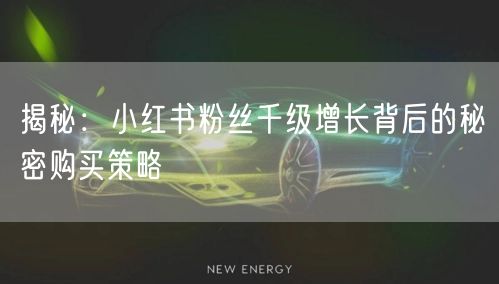 揭秘：小红书粉丝千级增长背后的秘密购买策略