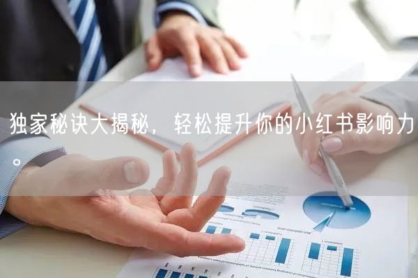 独家秘诀大揭秘，轻松提升你的小红书影响力。